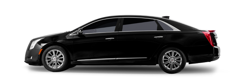 Custom Escalade with VIP Limousine